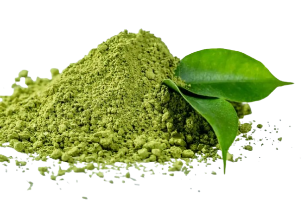 L-Theanine